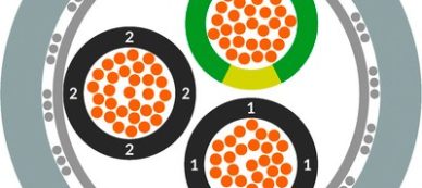 Csm 10036033 Oelflex Classic 115 Ch 3g1 5 P2 V0001 Freisteller 1f95925e371710d5f69d76708494818d143dca58 709c3928ca