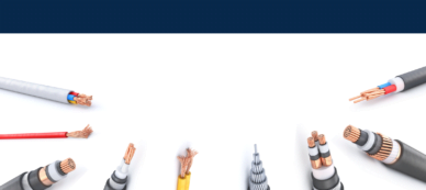 ללא שם (1140 × 650 פיקסל) (1)